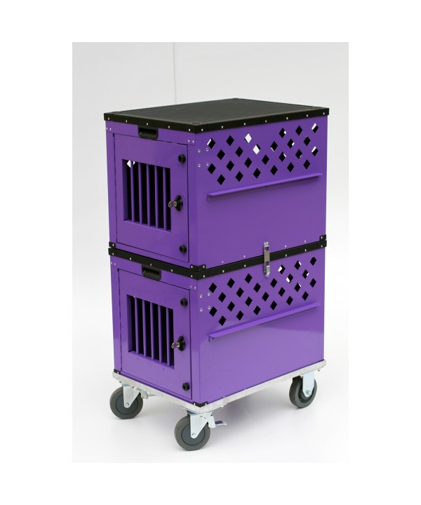 Conjunto de 02 Caixas para transporte de animais - tamanho 52 x 67 x 47 cm, com 16 kgs, para animais de até 15 kgs, em cada caixa. Certificada IATA para 